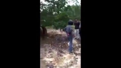 بالفيديو.. رجل يشنق نفسه في غابة أمريكية