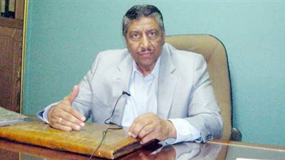 المليجى: الإسلام باق بعد رحيل مرسي