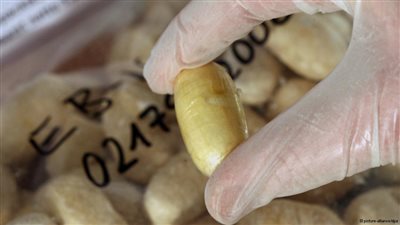 الجمارك الألمانية تضبط مخدرات في طريقها للفاتيكان