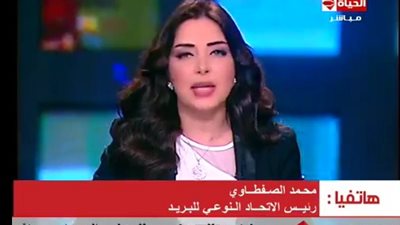 بالفيديو.. رئيس الاتحاد النوعي للبريد: نسبة الإضراب تعدت الـ 90%