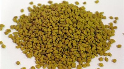 «الحلبة» تنشط عمل البنكرياس وتسيطر على مستوى السكر بالدم