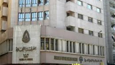 اتحاد الغرف التجارية ينظم منتدى الأعمال «المصري - الأسترالي».. اليوم