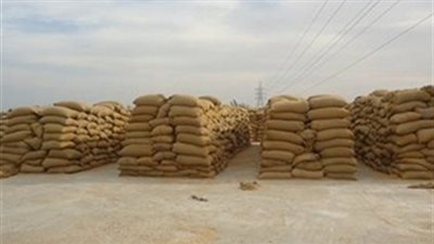 كامل: مخزون القمح يكفى حتى 15 أكتوبر فقط