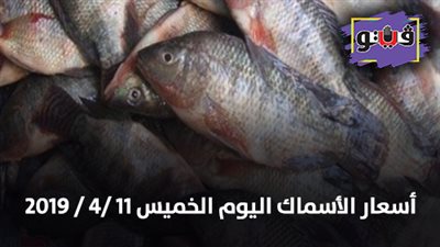 أسعار الأسماك اليوم الخميس 11 /4 / 2019