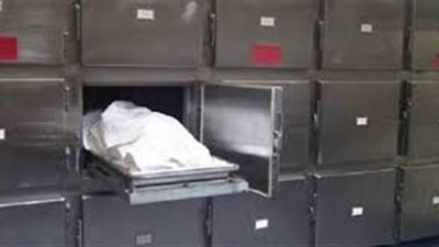 التحقيقات في مصرع سائق عين شمس: عصابة تخصصت في سرقة المارة قتلته