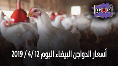 أسعار الدواجن البيضاء اليوم 2019/4/12