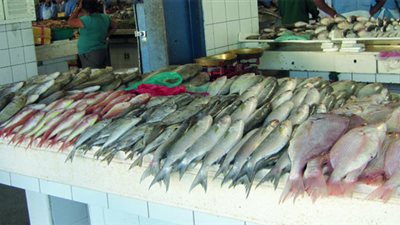 البلطي يسجل 12 جنيها بسوق العبور.. اليوم