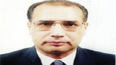 صفوان السلمي: اتجاه الحكومة لإعادة هيكلة قطاع الأعمال العام أمر إيجابي