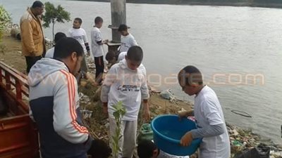 بالصور.. زراعة 2500 شجرة مثمرة بمبادرة ازرع قريتك في البحيرة