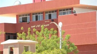 إخلاء سبيل 12 من عناصر الإرهابية بالوادي الجديد