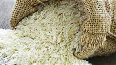 الأرز.. معركة «فرد العضلات» بين «الزراعة» و«الري».. الأولى تحلم بتحقيق اكتفاء ذاتي من المحصول.. الثانية تخشى الإفراط في مخزون المياه.. و«أبو ستيت» يعلن زيادة مس