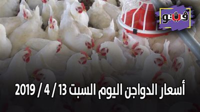 أسعار الدواجن اليوم السبت 13 / 4 / 2019