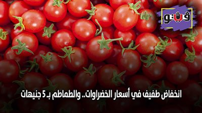 انخفاض طفيف في أسعار الخضراوات.. والطماطم بـ 5 جنيهات (فيديو)