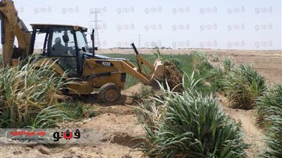 بالصور: تنفيذ 3 قرارات إزالة تعديات على أملاك الدولة بالوادي الجديد