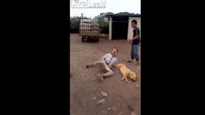 علقة ساخنة للص سرق كلبا وقتله لبيعه (فيديو)