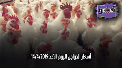 أسعار الدواجن اليوم الأحد 14/ 4/ 2019