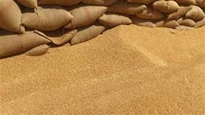 التموين تستعد لبدء موسم توريد القمح المحلي من المزارعين