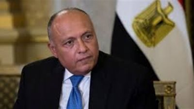 شكري يتسلم رسالة من رئيس الكونغو إلى السيسي