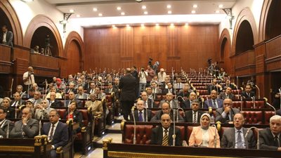 تشريعية البرلمان تعدل اختصاصات مجلس الدولة ضمن التعديلات الدستورية