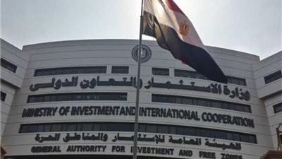 اقتصادي: التحول الرقمي وميكنة خدمات الدولة نقلة نوعية للمواطن والاستثمار