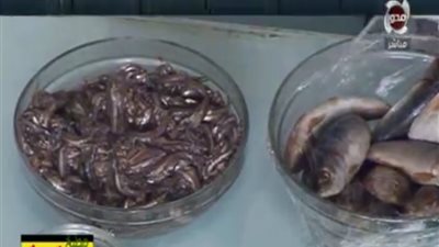 أسهل طريقة لعمل الملوحة (فيديو)