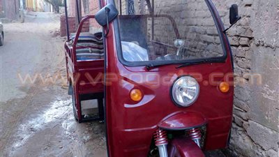 المرور يرفض ترخيص «توك توك» مشروعك بالوادي الجديد