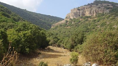 اكتشاف حفرية للزهور التى توضع على أرواح الموتى ترجع إلى 13 ألف عام