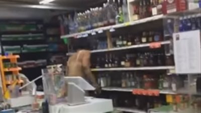 امرأة غاضبة تحطم متجرا بالكامل (فيديو)