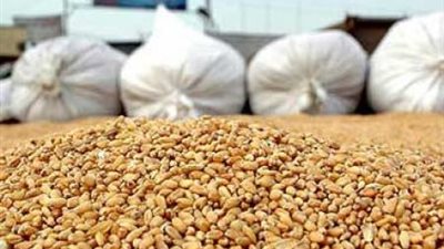 مخزون القمح بميناء الإسكندرية يصل إلى 808 آلاف طن