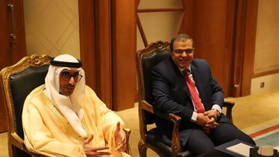 «الهاملي» لـ«سعفان»: حقوق العمال المصرية بالإمارات مصونة