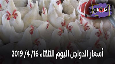 أسعار الدواجن اليوم الثلاثاء 16/ 4/ 2019