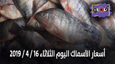 أسعار الأسماك اليوم الثلاثاء 16 / 4 / 2019
