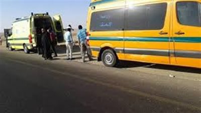 مصرع وإصابة 4 في تصادم سيارتي نقل بطريق الواحات