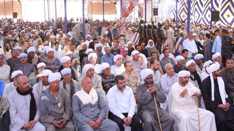 فيتو