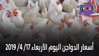 أسعار الدواجن اليوم الأربعاء 17/ 4/ 2019
