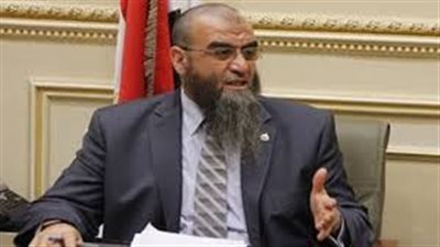 «النور»: رفضنا البرادعي لأن المرحلة تحتاج للتوافق لتهيئة الأجواء للمصالحة