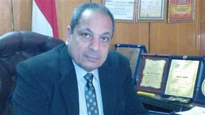 بدء موسم توريد محصول القمح لمساحة 240 ألف فدان في المنيا