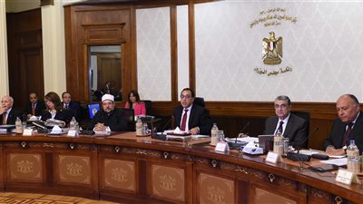 الحكومة تدعو للمشاركة في الاستفتاء على التعديلات الدستورية بحرية