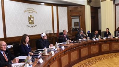 تفاصيل اجتماع مجلس الوزراء اليوم.. الحكومة تدعو المصريين للمشاركة بحرية في الاستفتاء على التعديلات الدستورية.. تعويض١٠٠ألف جنيه لأسرة المتوفي و٥٠ ألفا للمصاب في حادث الشيخ زويد (فيديو وصور)