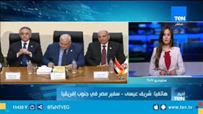 استعدادات سفارة مصر بجنوب أفريقيا لاستفتاء التعديلات الدستورية (فيديو)