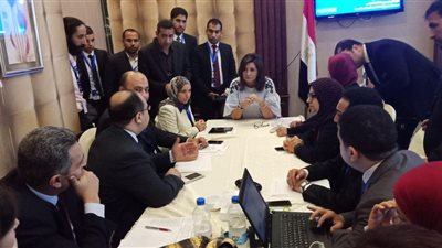 استعدادات الجاليات المصرية بالخارج للاستفتاء على التعديلات الدستورية.. علاء ثابت: تأهب في ألمانيا وحث المواطنين على المشاركة.. بهجت العبيدي: دستور 2014 لم يحقق الطموح.. ولجان تطوعية بالكويت