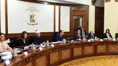 هل أيام الاستفتاء على الدستور إجازة؟.. الحكومة ترد