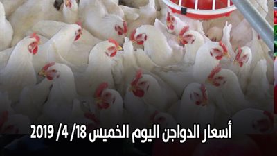 أسعار الدواجن اليوم الخميس 18/ 4/ 2019