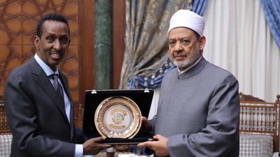 وزير خارجية الصومال: المنهج الأزهري طريق بلادنا للخروج من نفق التطرف