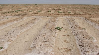 «الإسكان» و«الاستثمار» تطرحان قطع أراض للبيع في 20 مدينة جديدة