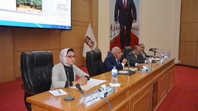 تخصيص أراض للمشروعات الخدمية بالوادى الجديد