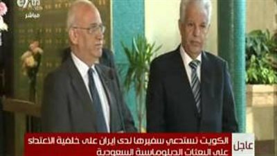 بالفيديو.. «فتح»: مصر عمودنا الفقري وقضيتها الأولى فلسطين