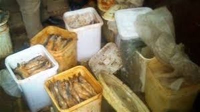 قبل شم النسيم.. التحفظ على 1.5 طن ملوحة فاسدة بأسيوط