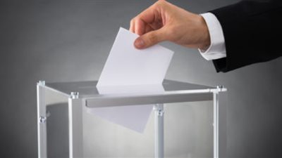 المصريون في اليابان وكوريا الجنوبية يبدأون التصويت على التعديلات الدستورية