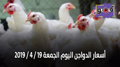 أسعار الدواجن اليوم الجمعة 19 / 4 / 2019